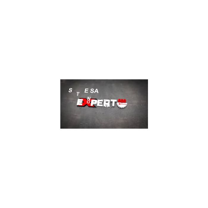 Expert 600 stenskæremaskine