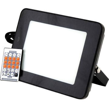 Blue Electric Professional Slim-Line Sensor 50W