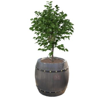 Blomsterkrukkeform til betonstøbning - 45 cm